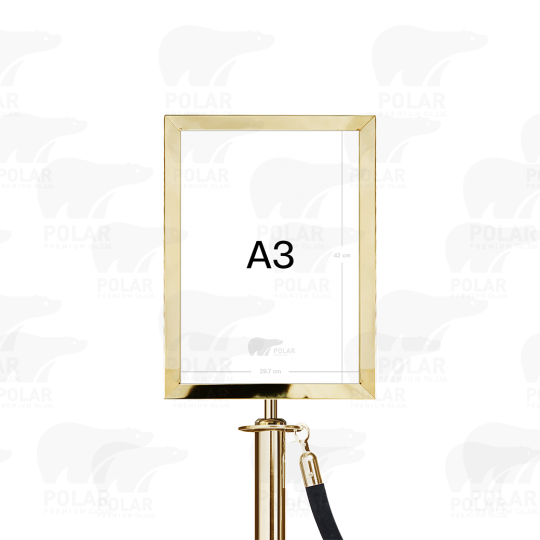 p1.png